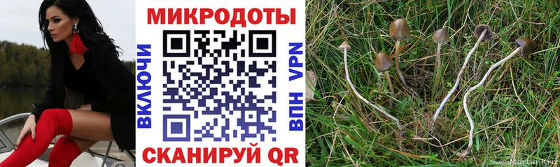Псилоцибиновые грибы GOLDEN TEACHER  Купить  Щёлково 